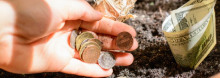 Power of Compound Interest: How to Turn $100 into $10,000?